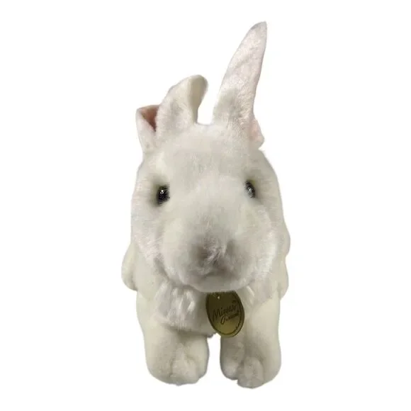 Aurora Myoni White American Rabbit 