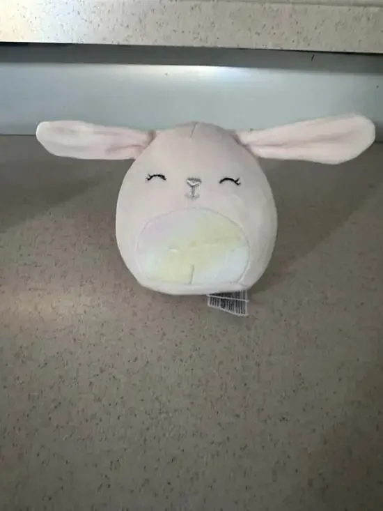 Squishmallows Robyne the Bunny 4