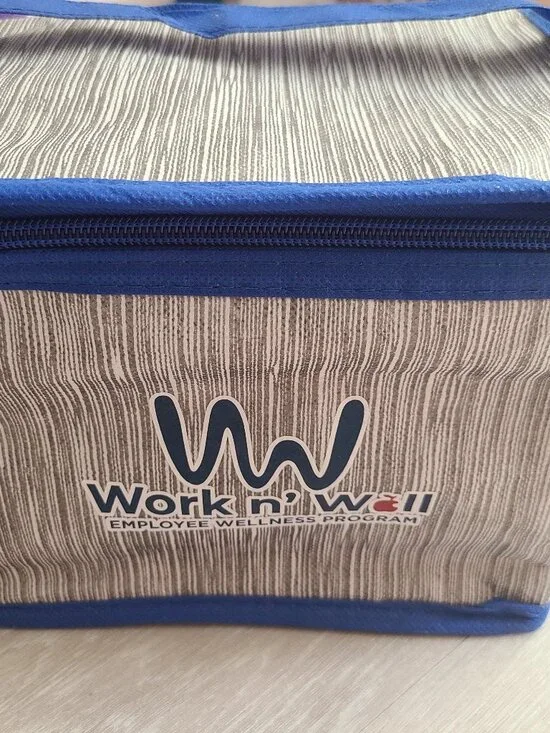 Insulated mini cooler