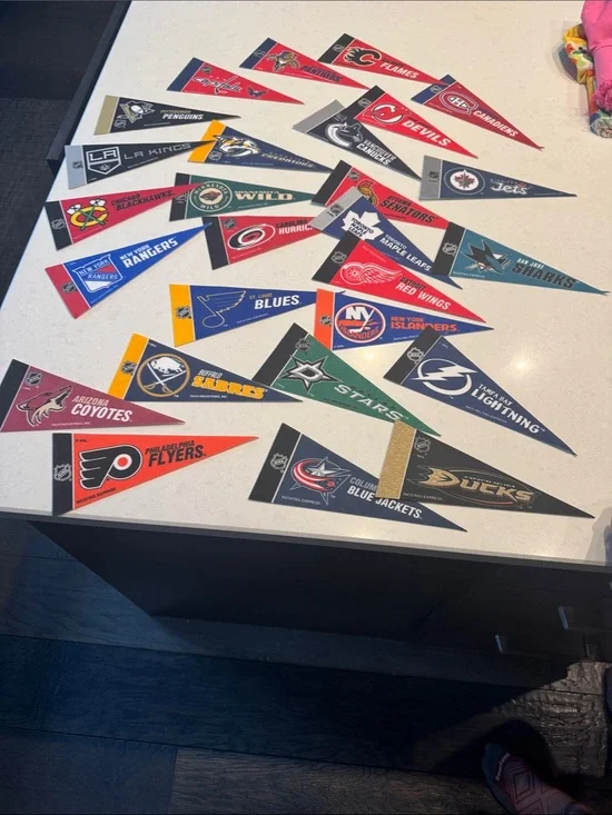 NHL Team Pennant Trading pennant 27 pc Red, Blue, Black, Green, Yellow, Orange