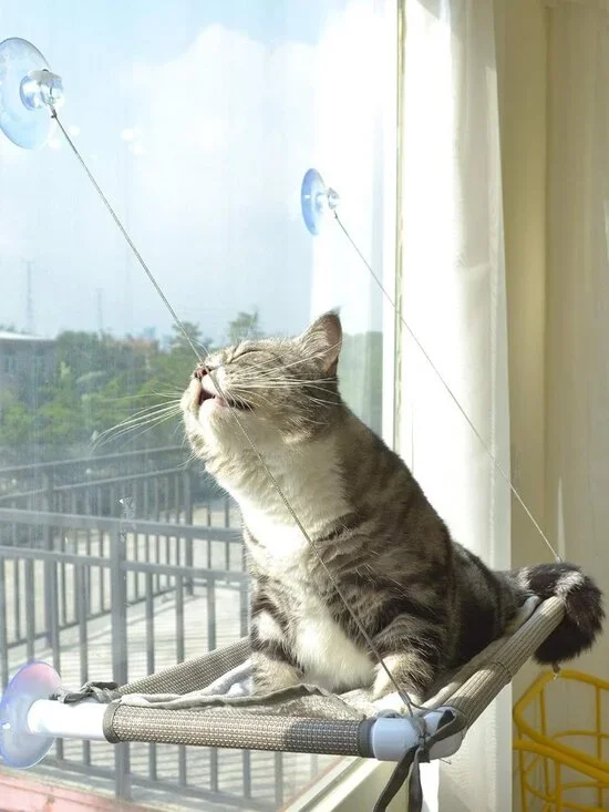 Cat Window Hammock