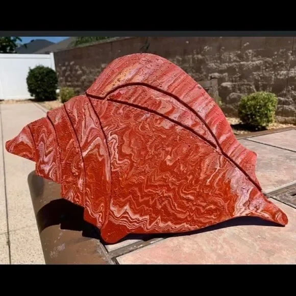Meet Coralie! A conch like no other!‎