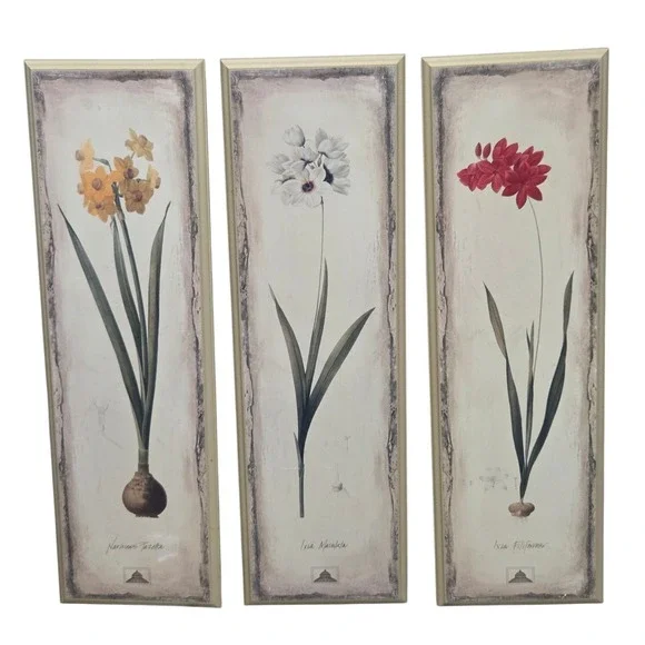 Vintage Botanical Prints Set of 3 Flower Bulb Wall Art Panels 28 1/8