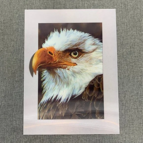 Brand New! Bald Eagle 3D Lenticular Poster 11.5