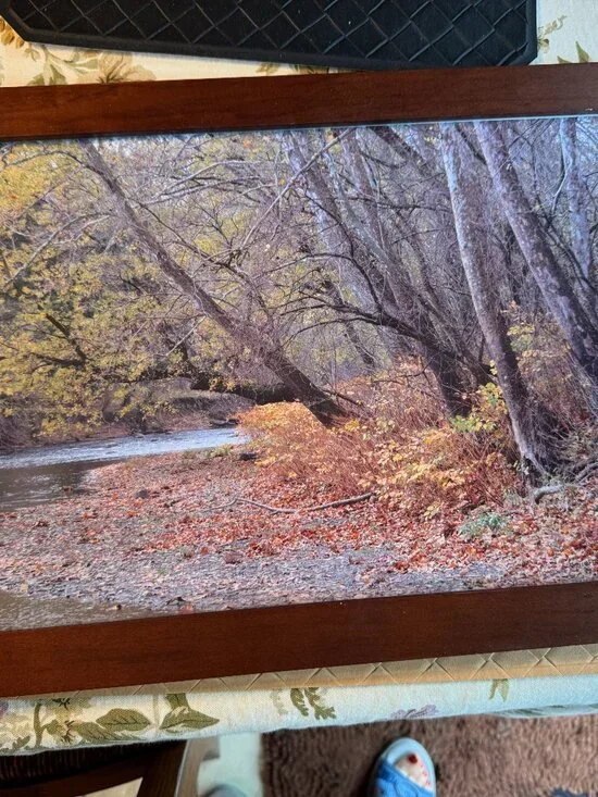 Colorful Fall Landscape Photograph Framed 19