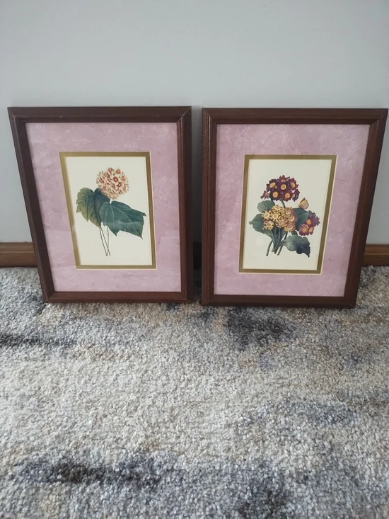 Framed Botanical Prints - Pink Mat, Wood Frames (Pair)