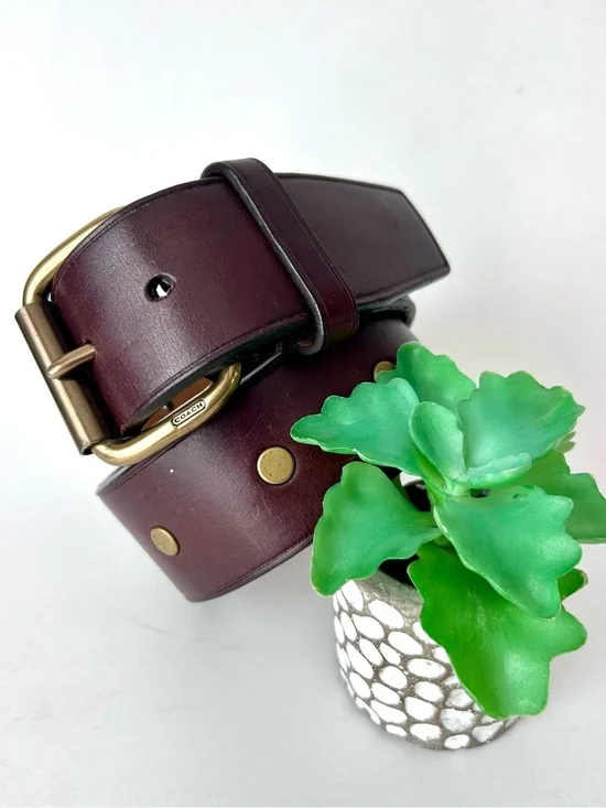Coach Brown Leather Studded Belt Size 34”
