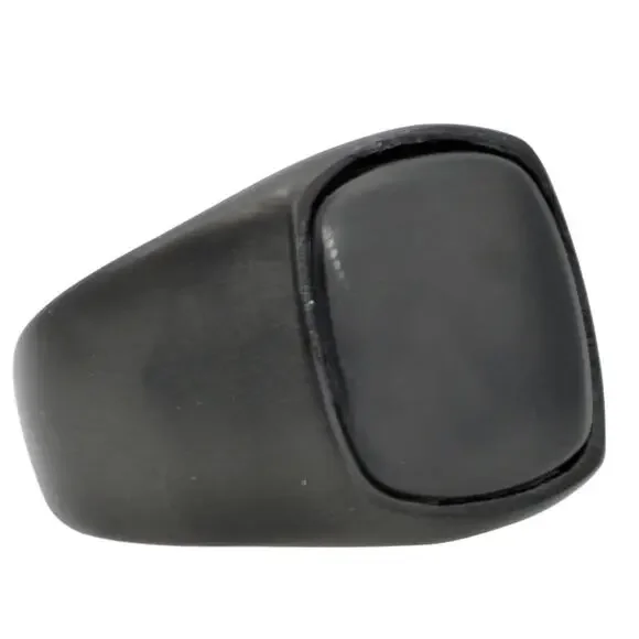 Men's Onyx and Black Stainless Steel Ring