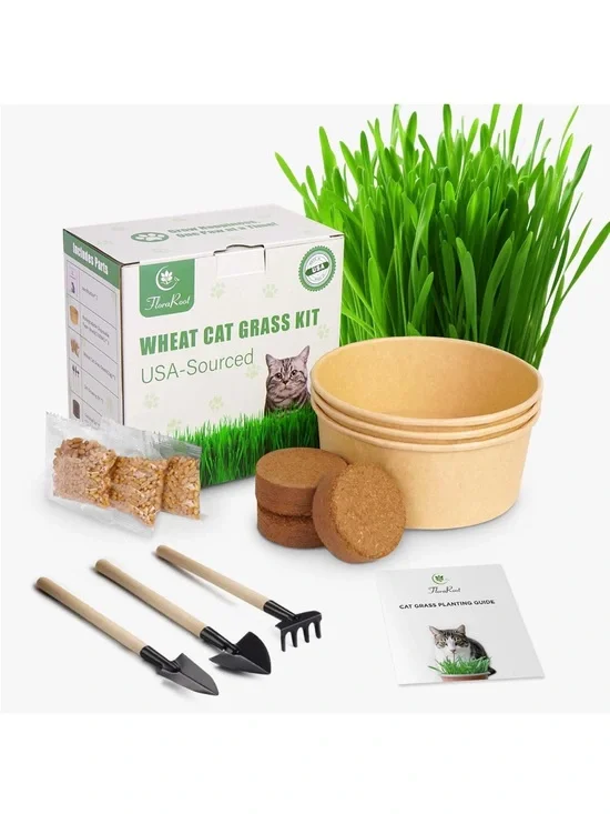 Cat Grass Growing Kit for Pets - Green