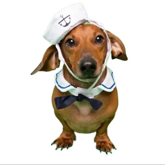 NWOT Pet Krewe Doggie Sailor Collar and Hat Sz S