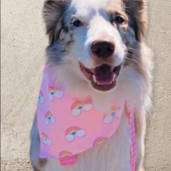 Stoney Clover Lane Limited Edition Reversible Pet Bandana