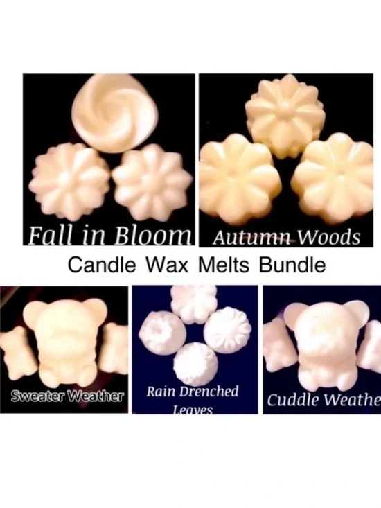 Bath and Body Works Candle Wax Melt Set