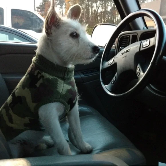 Camouflage Dog Sweater