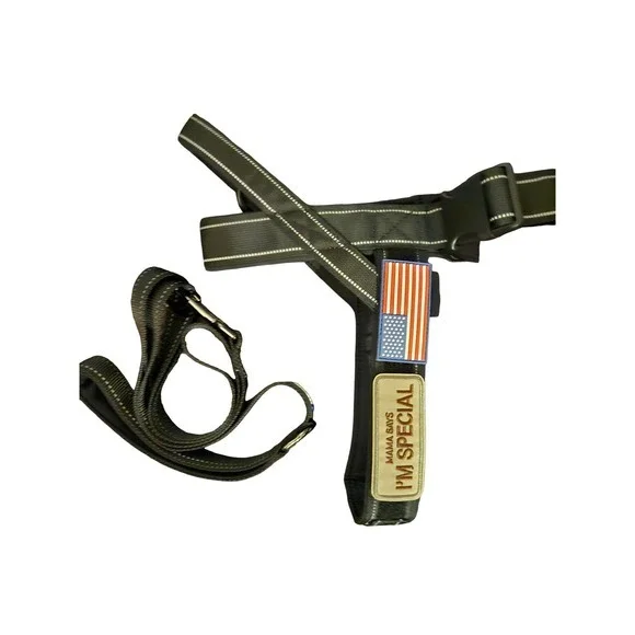Black Dog‎ Harness with American Flag Patch and I'm Special Patch with Leash