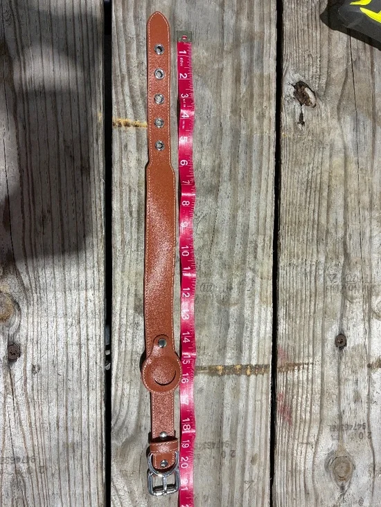 Leather Dog Collar
