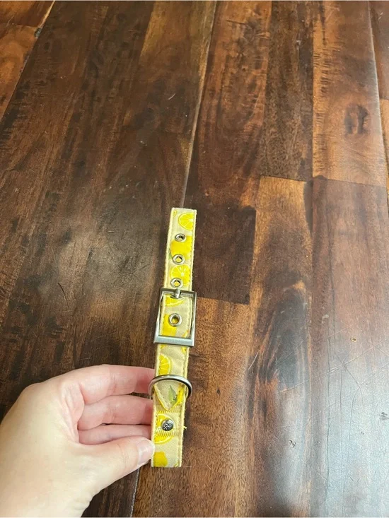 Yellow Lemon Print Adjustable Dog Collar