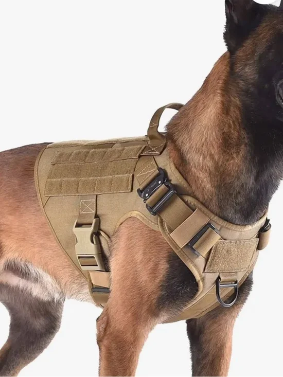 ICEFANG Tactical dog harness L