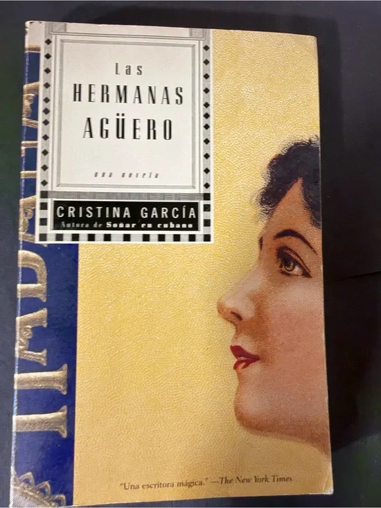 Las Hermanas Agüero by Cristina García - Yellow & Blue Vintage Cover