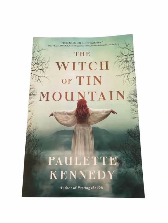The Witch of Tin Mountain by Paulette Kennedy Southern Gothic historical fantasy