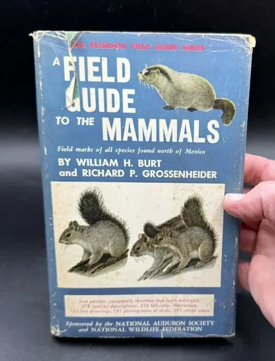 A Field Guide to the Mammals Burt & Grossenheider 2nd Edition 1964 EUC