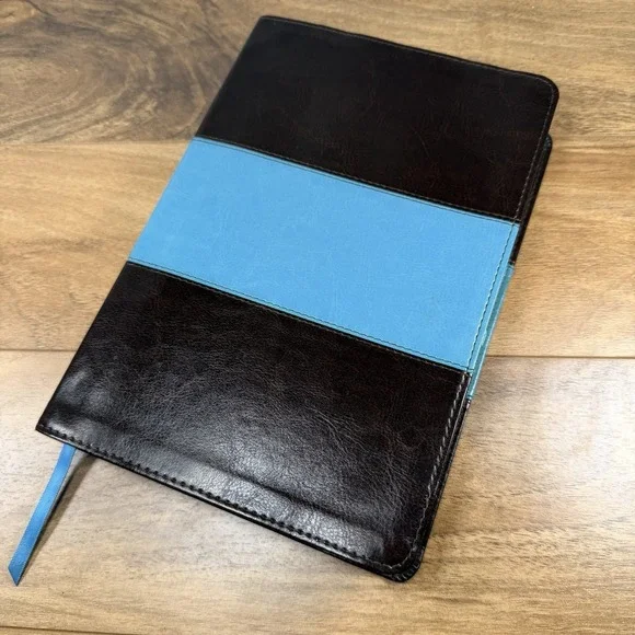 NIV Holman Rainbow Study Bible LeatherTouch Saddle Brown Turquoise Maps EUC