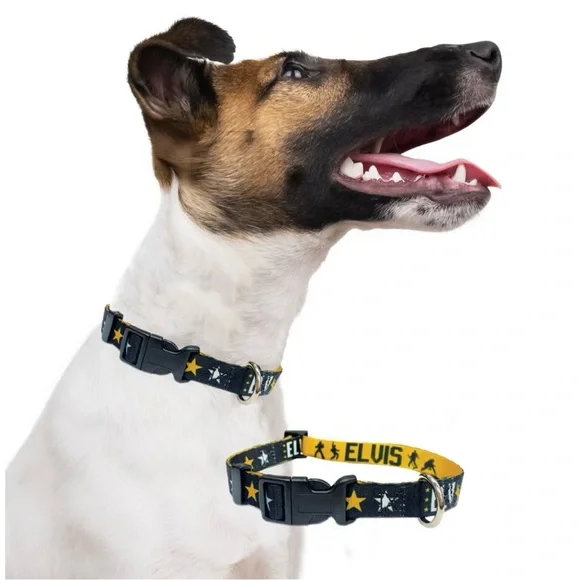 Elvis Dog Collar Gold and Black Size Large New