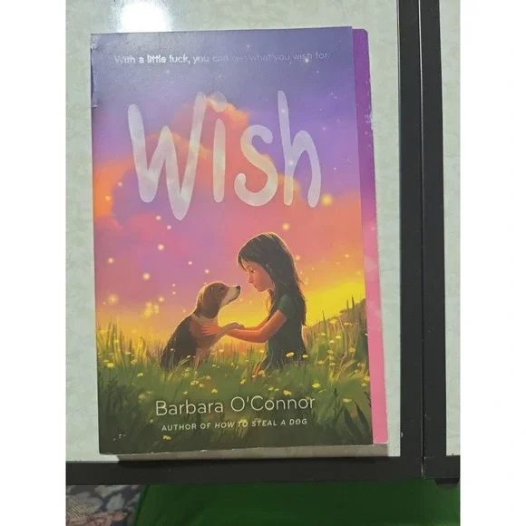 Wish by Barbara O'Connor (2017, Trade Paperback)