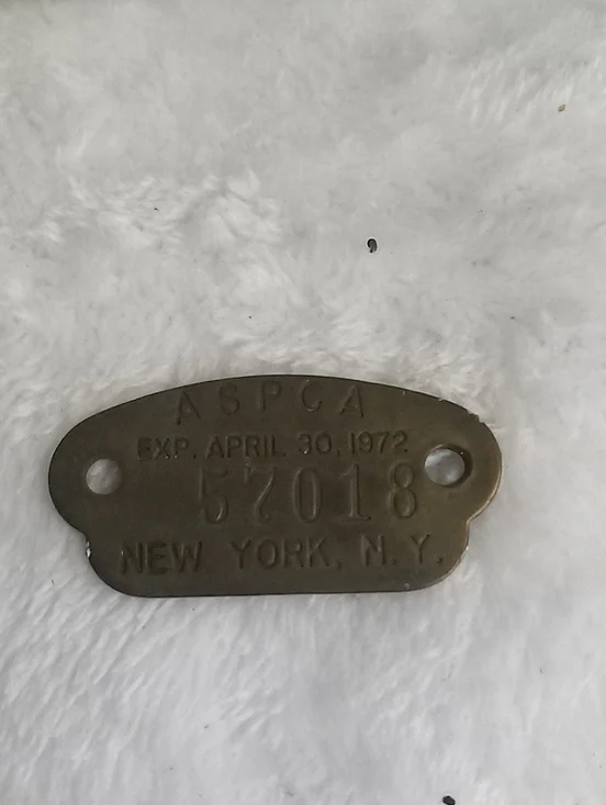 ASPC A Vintage Brass Tag - New York NY - Brown/Brass