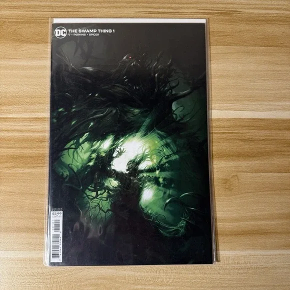 The Swamp Thing Issue #2 DC First Print Variant Cover