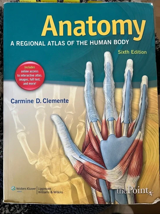 Anatomy: A Regional Atlas of the Human Body — Teal & Yellow Cover