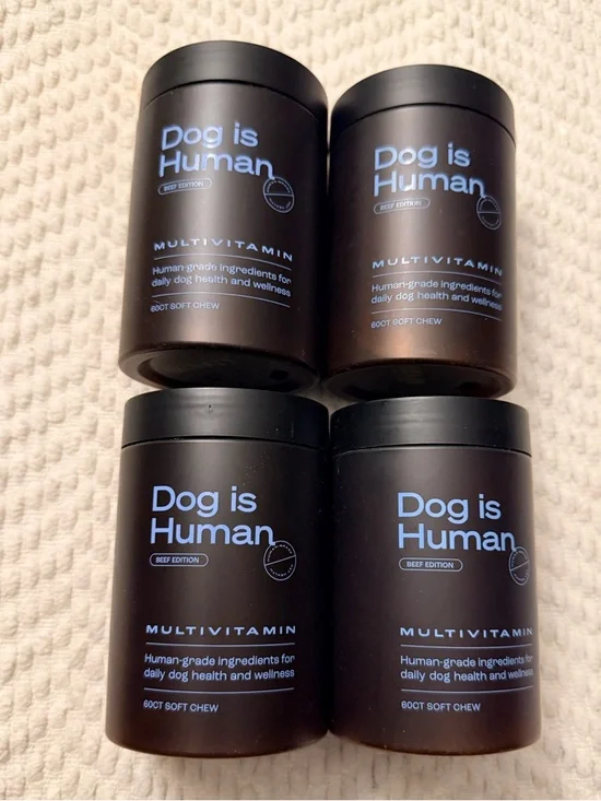 🤍New Dog Is Human Bundle🤍