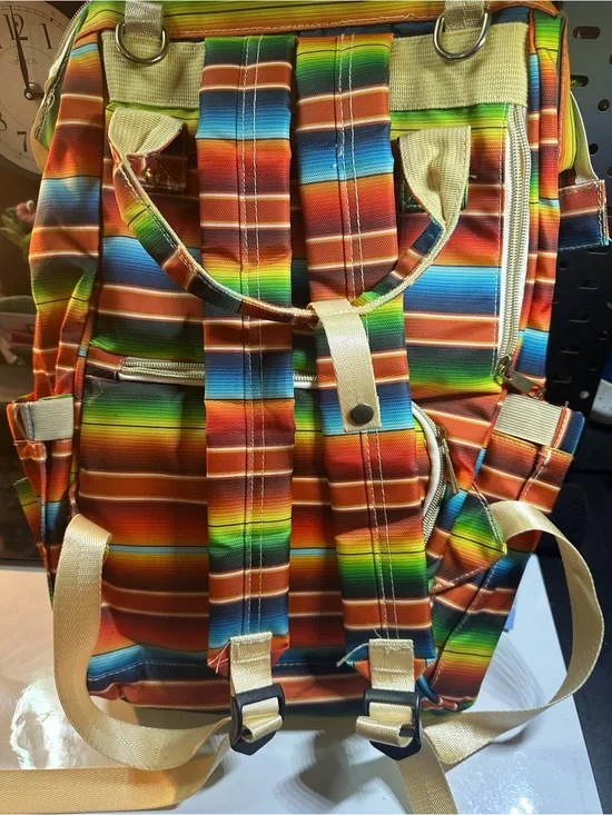 Multicolor Striped Canvas Men's Backpack