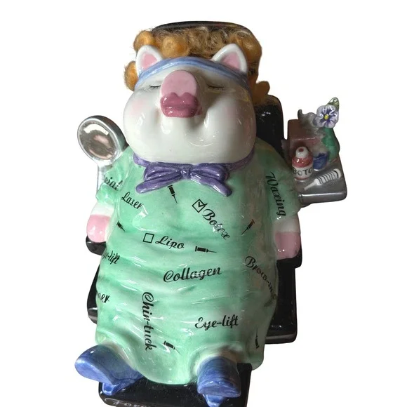Mud Pie Forever Young Fund Piggy Bank Ceramic Plastic Surgery Spa Pig Decor