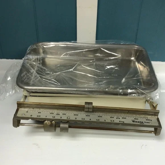 Vintage Westa Karat‎ ivory Scale & Stainless Steel Removable Tray W. Germany