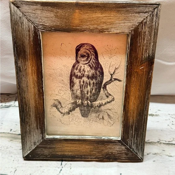 Rustic, distressed, reclaimed-style wooden Owl‎ Framed Art  5x7”
