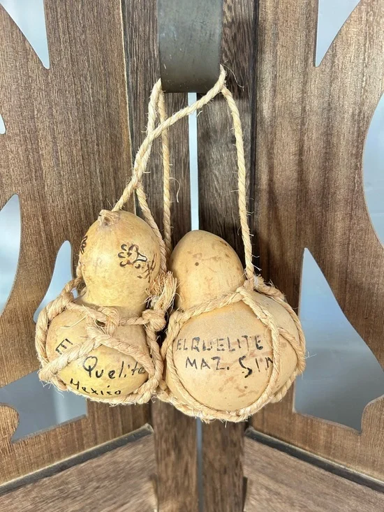 Handcrafted Natural Dried Gourd Ornament - Tan