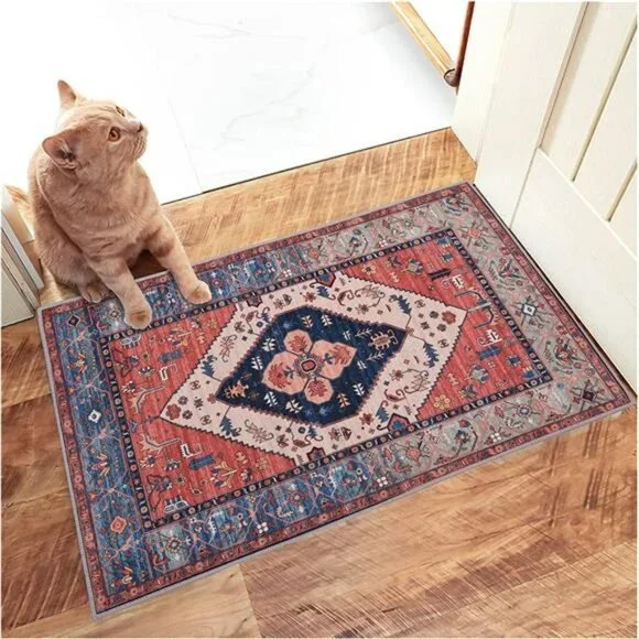 Indoor Door Mat Retro Indoor Floor Mat, Non Slip Front Door Rug - 20 x 31.5in