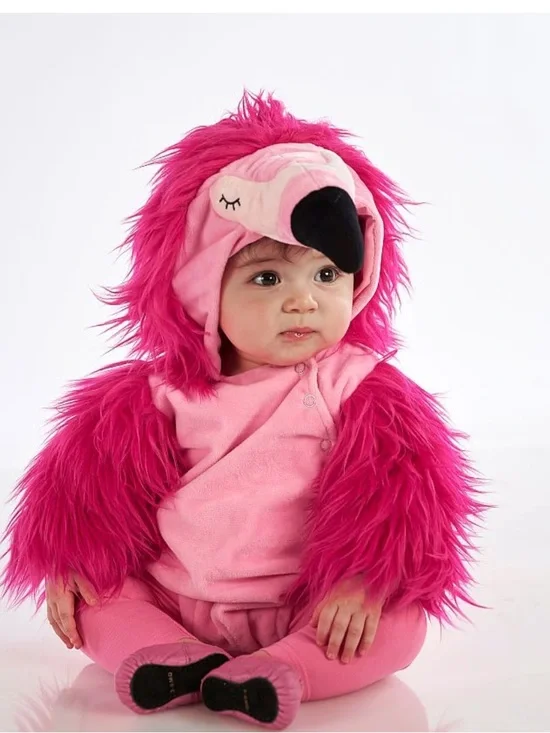 Pottery Barn Kids Hot Pink Baby Flamingo Costume