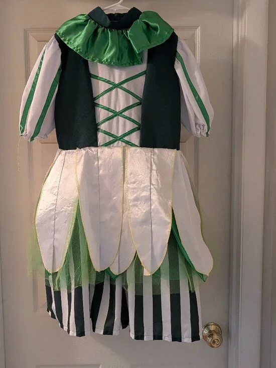HalloweenCostumes.com Green Wonderland Mad Hatter Jester Costume Dress - Youth X