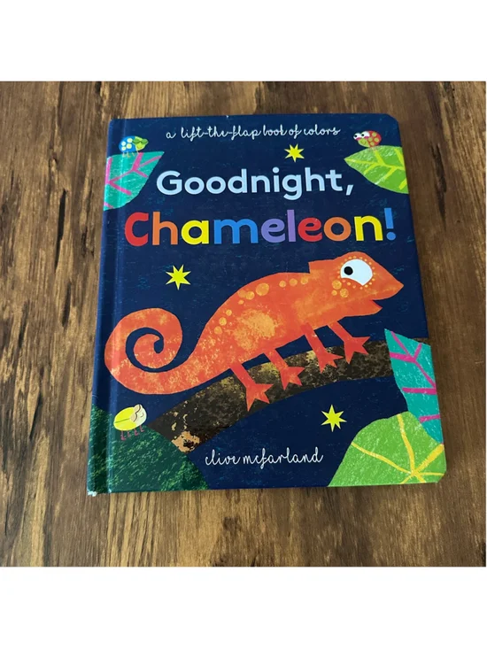 Goodnight Chameleon Board Book Kane Miller Lift the Flap Colors Toddler