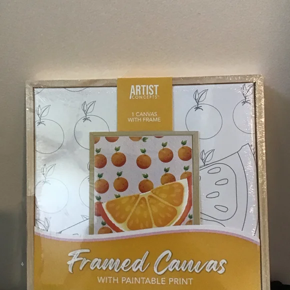Artist Concepts Framed Canvas Paintable Print Oranges Citrus Art‎ Craft Kit