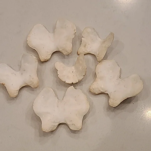 Butterfly 🦋 Shaped Craft Shells
