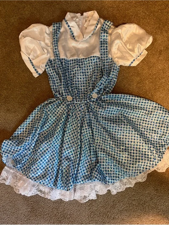 Blue Checkered Girls' Costume Dress with White Blouse