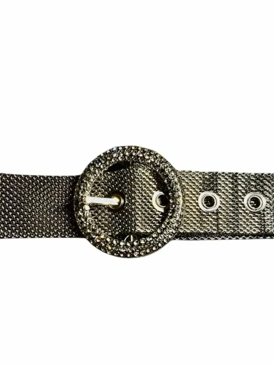 Mesh Metal Belt with Rhinestone Buckle NWOT