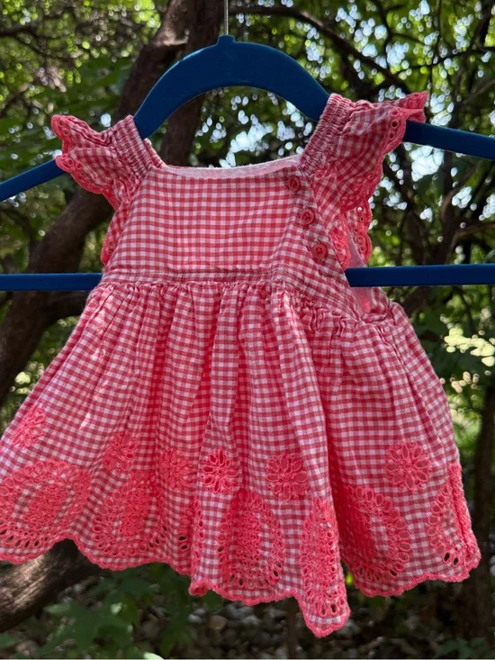 Baby Gap Embroidered Gingham Scalloped Frock