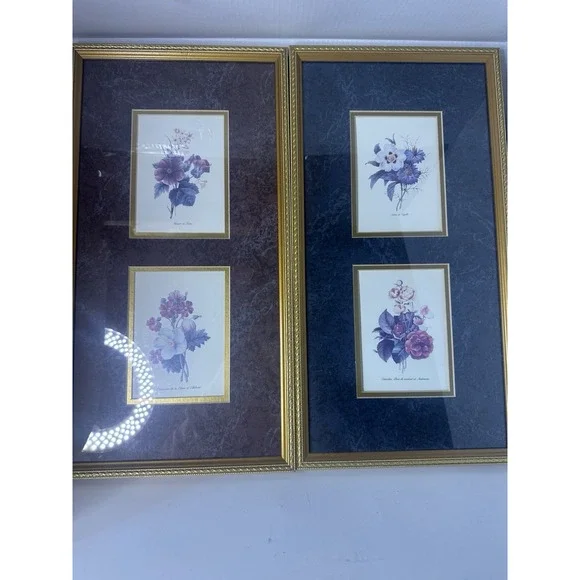 Vintage botanical Art‎ French Gold Frames