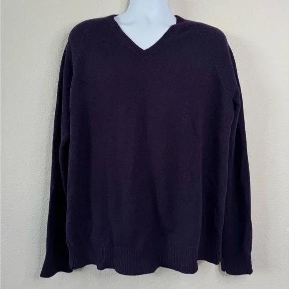 J.Crew 100% Lambswool V-Neck Sweater‎ Men’s XL Purple Minimalist Office Layer