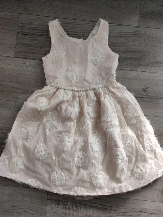 Kensie Girl Pale Pink Floral Applique Tulle Dress
