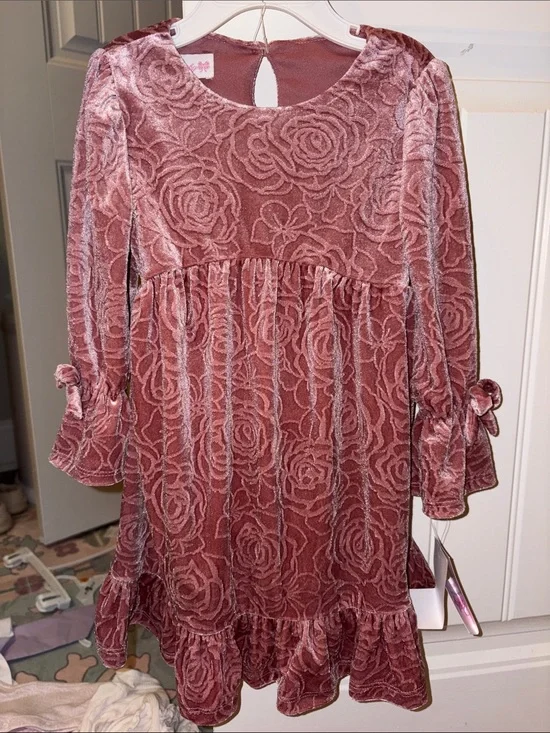 Bonnie Baby Dusty Rose Velvet Rose-Pattern Dress