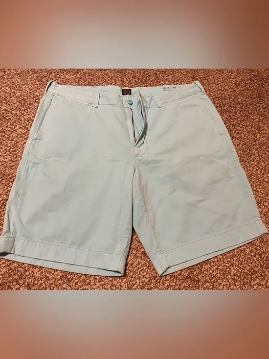 J. Crew Light Blue Flat Front Chino Shorts